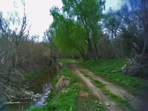 Final Canal de Urgell