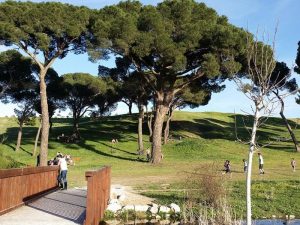 Aspecto de los alrededores del humedal