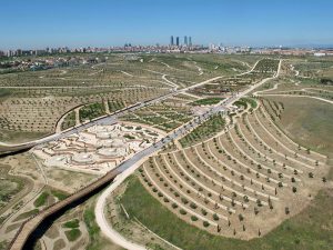 Parque Forestal Felipe VI en Valdebebas