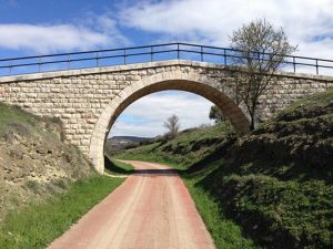 Pista y Puente