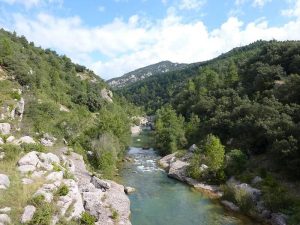 El Rio Llobregat y su entorno