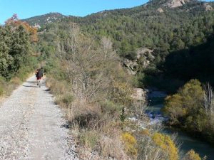Paralelos al río Llobregat en bici