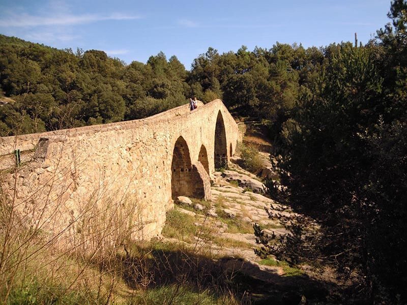 Puente gótico de Pedret