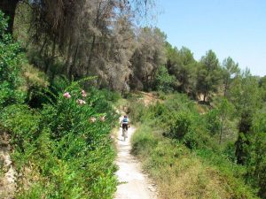 Senda final hacia Xàtiva en bici