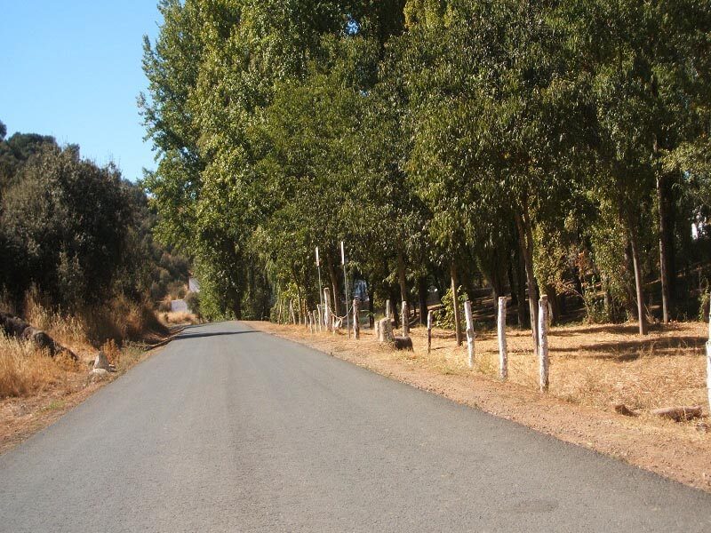 Zona de asfalto ruta en bici a San Nicolás