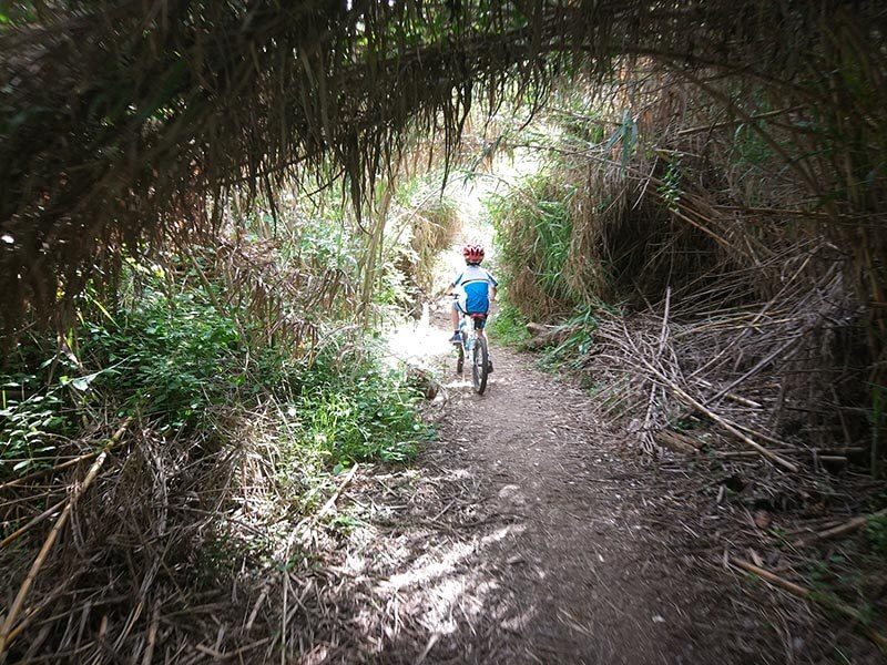 Pasamos por túneles naturales utilizando nuestra Bicicleta.