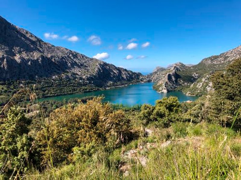 Ruta en mountain bike por Tossals